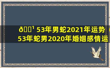 🌹 53年男蛇2021年运势（53年蛇男2020年婚姻感情运势运程）